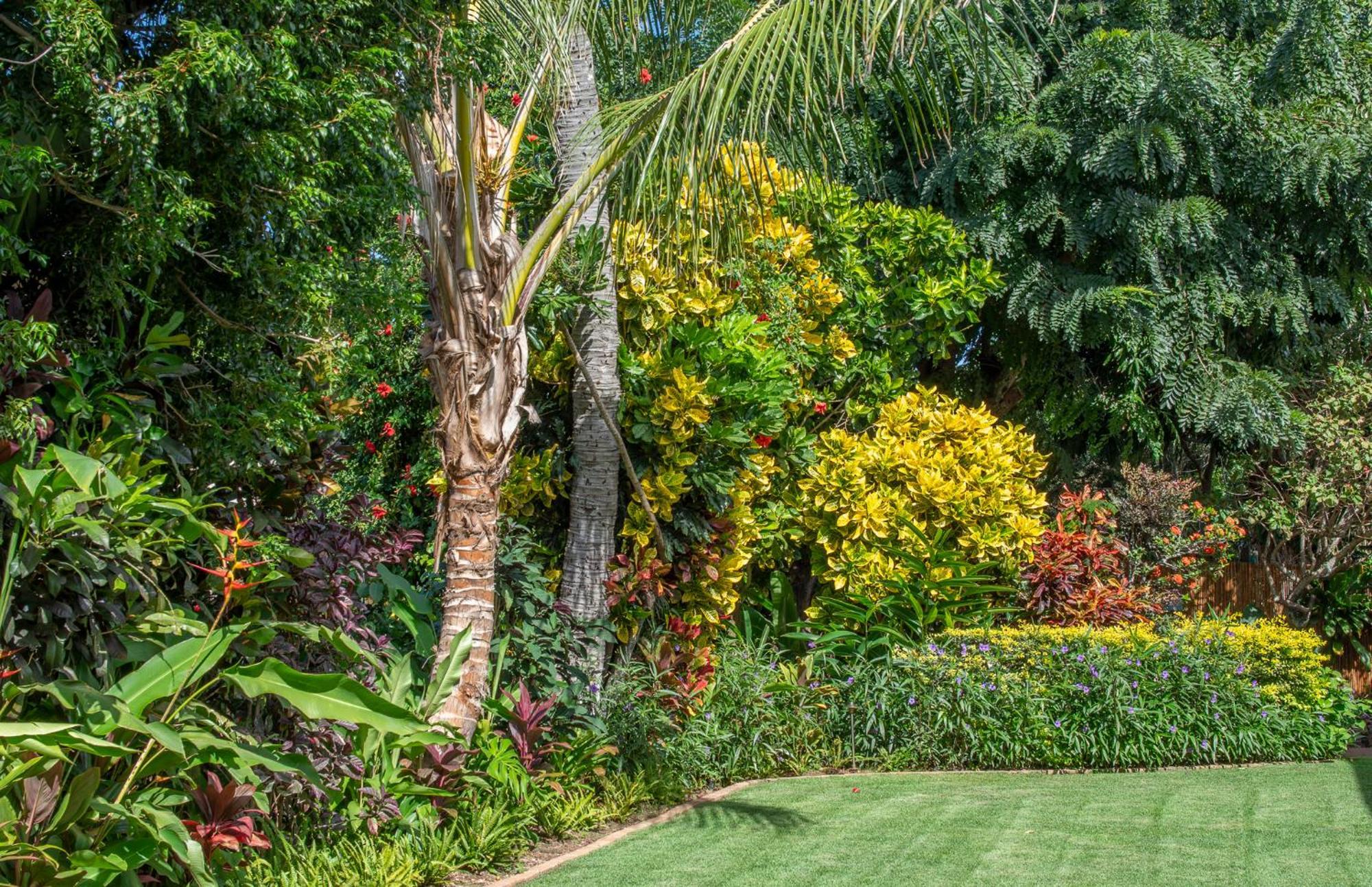 Napili Surf Beach Resort By Castle Kapalua Exterior foto