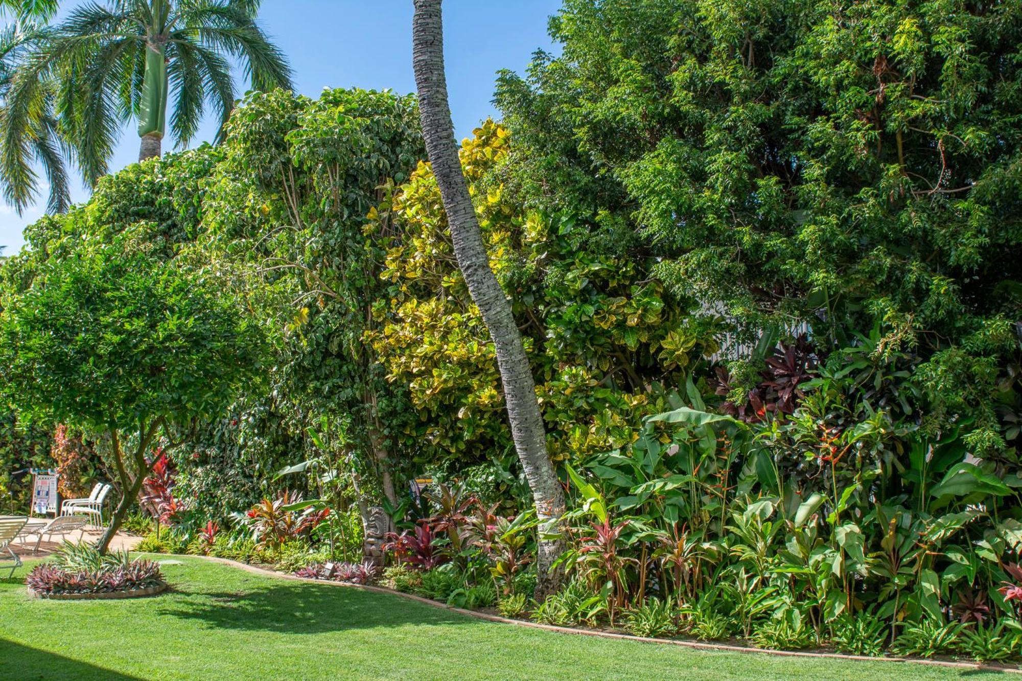 Napili Surf Beach Resort By Castle Kapalua Exterior foto